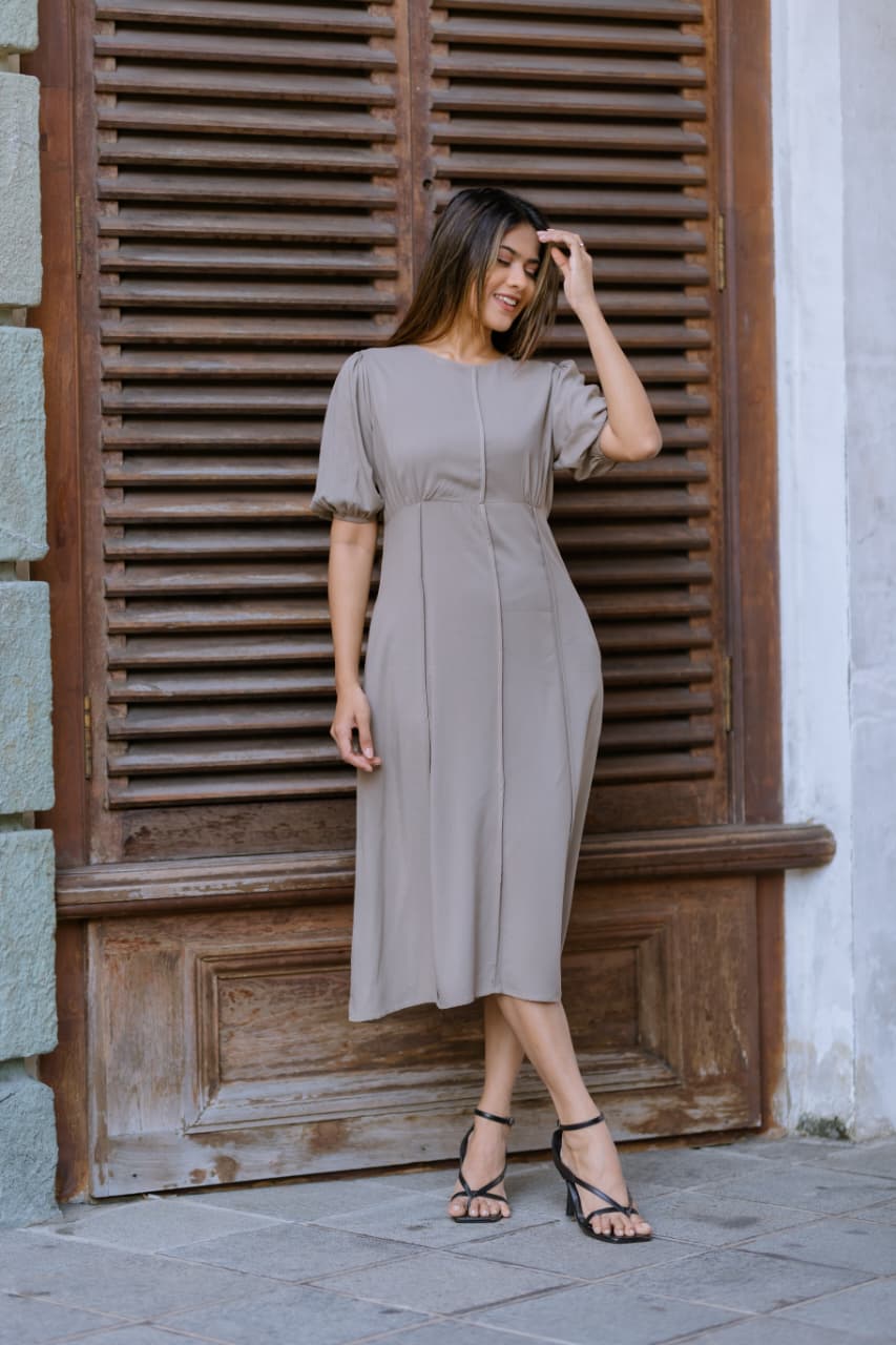 Princess Seam Midi Dress